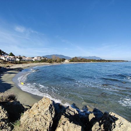 Corse, Residence Marina Di Bravone, Acces Direct Plage Linguizzetta Exterior photo